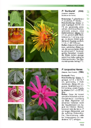 Passiflora: 211 Passionsblumen aus aller Welt