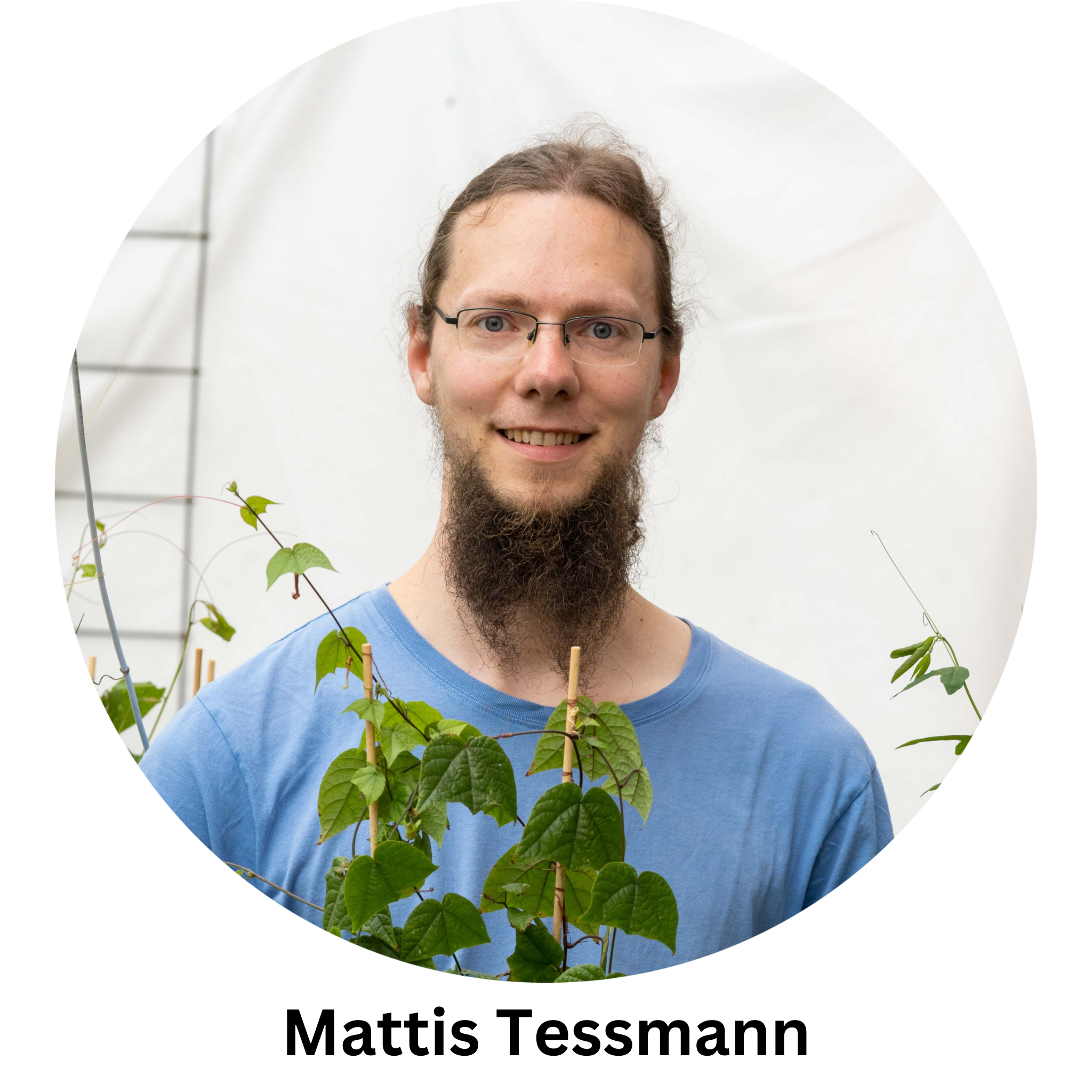 Mattis Tessmann